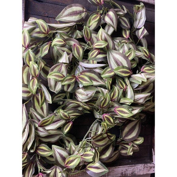 2 Faux Peperomia Plants Trailing Vine Hanging Wall Pot Floral Crafts Decor - Picture 2 of 3